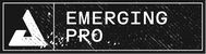 Player Role Badge
