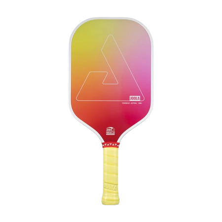 Joola Recreational Series Pickleball Paddle Collection – Lightweight and durable paddles designed for casual play, offering comfort and control.